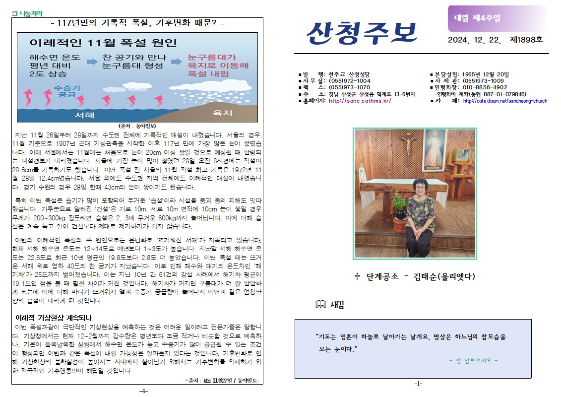 대림4-1.jpg